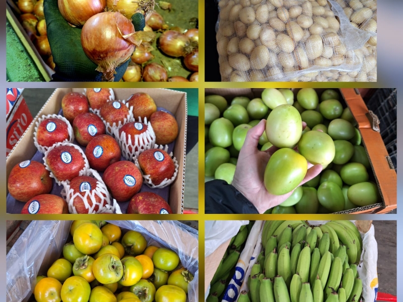 Comércio Atacadista de Hortifrutigranjeiros